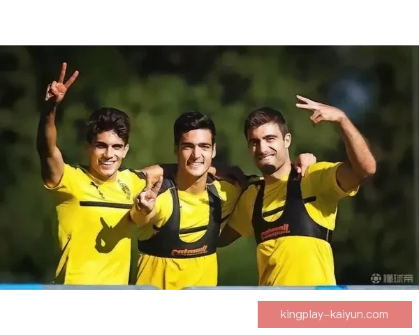 梅里诺风格分析：在本赛季逐渐展现出稳定的比赛表现与技术特点